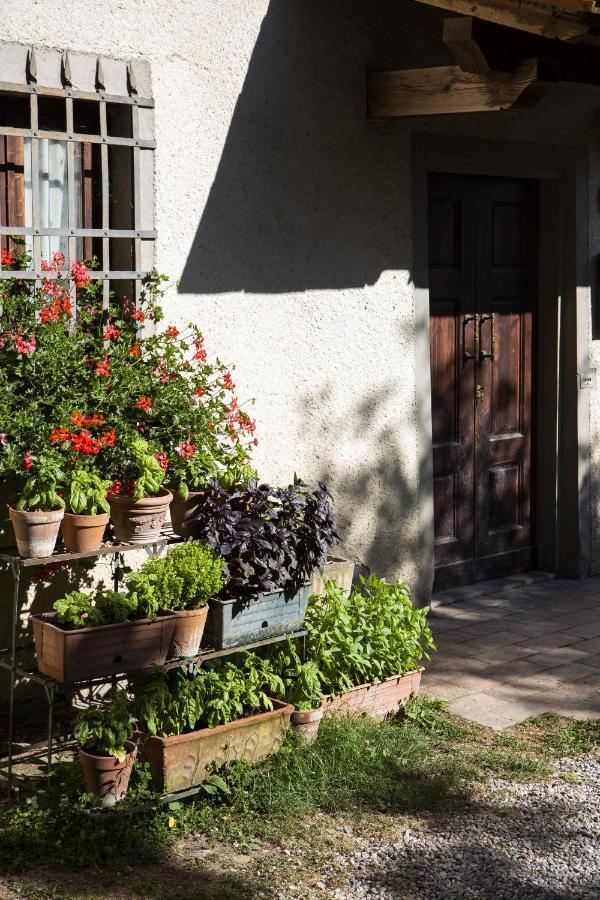 Agriturismo La Topaia ボルゴ・サン・ロレンツォ エクステリア 写真