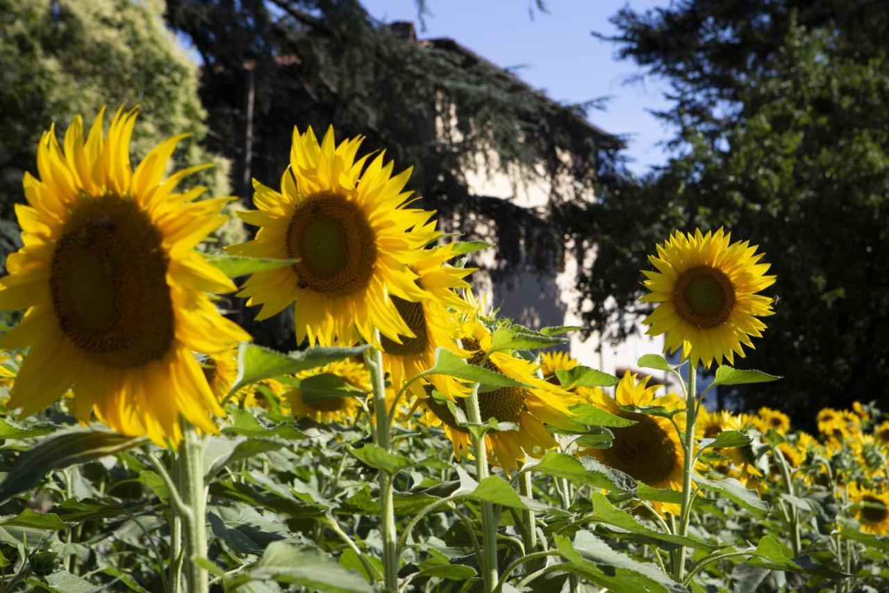 Agriturismo La Topaia ボルゴ・サン・ロレンツォ エクステリア 写真