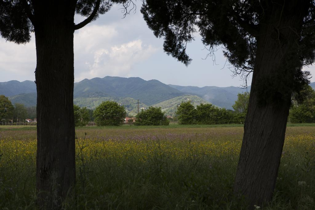 Agriturismo La Topaia ボルゴ・サン・ロレンツォ エクステリア 写真