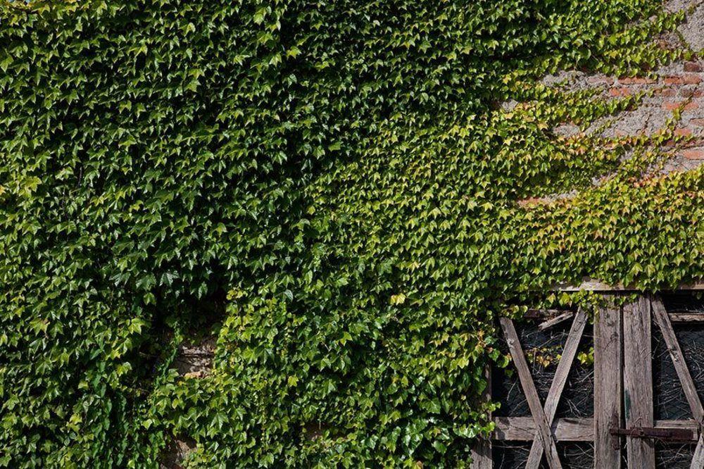 Agriturismo La Topaia ボルゴ・サン・ロレンツォ エクステリア 写真