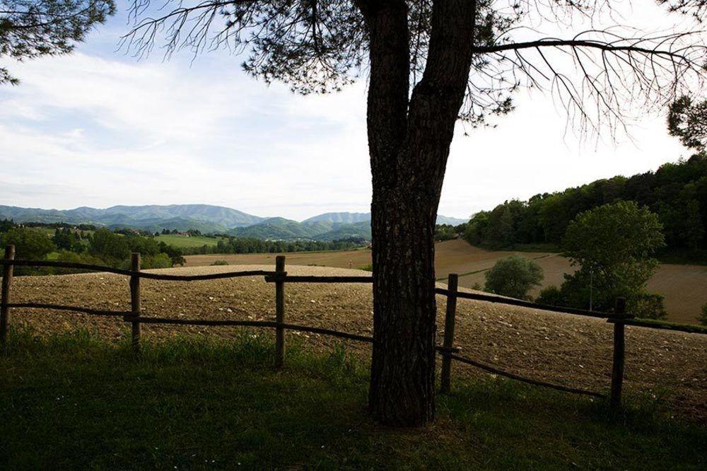 Agriturismo La Topaia ボルゴ・サン・ロレンツォ エクステリア 写真