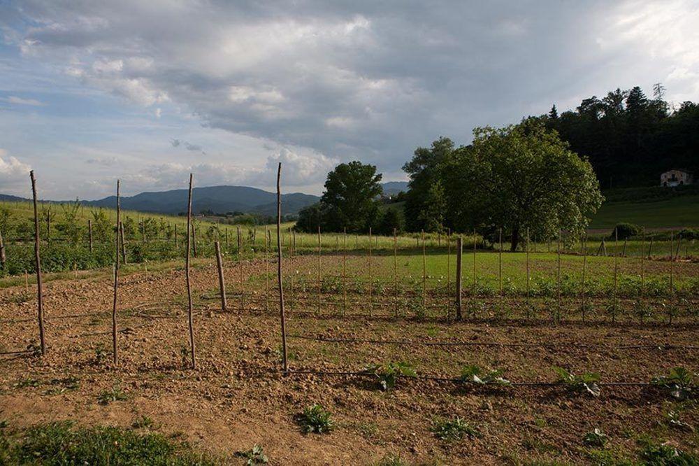 Agriturismo La Topaia ボルゴ・サン・ロレンツォ エクステリア 写真