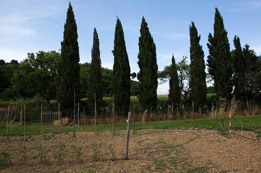 Agriturismo La Topaia ボルゴ・サン・ロレンツォ エクステリア 写真